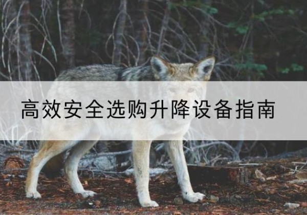 兖州升降货梯厂家推荐-*安全选购升降设备指南