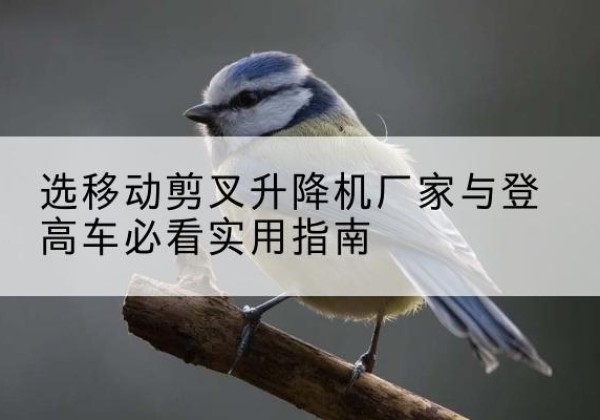 兖州电动升降机厂家-选移动剪叉升降机厂家与登高车必看实用指南